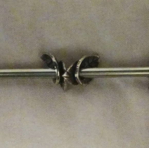 Trollbeads Spring Leaves Spacer Beads(2pc) - Picture 3 of 3